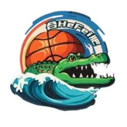 安徽女篮队标志