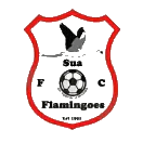 苏阿火烈鸟队标志